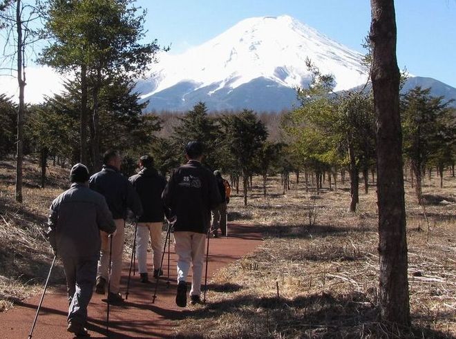 �l�G�̐X�A�X�V��