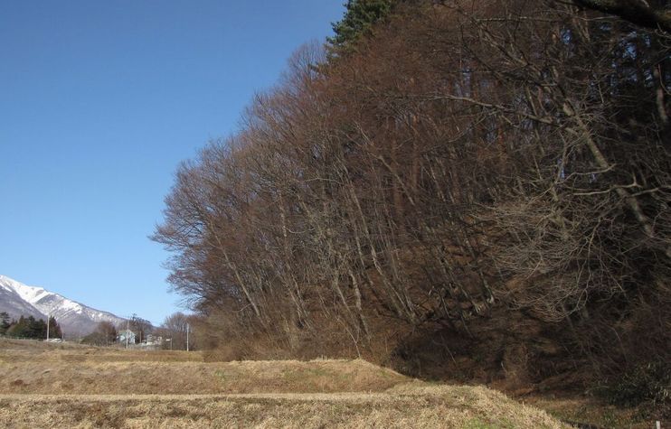 �l�G�̐X�A�X�V��