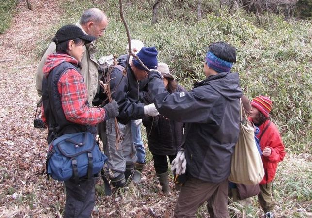 �l�G�̐X�A�X�V��