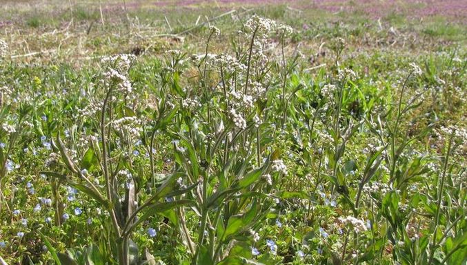 �l�G�̐X�A�X�V��