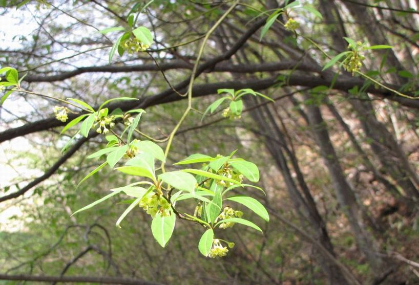 �l�G�̐X�A�X�V��