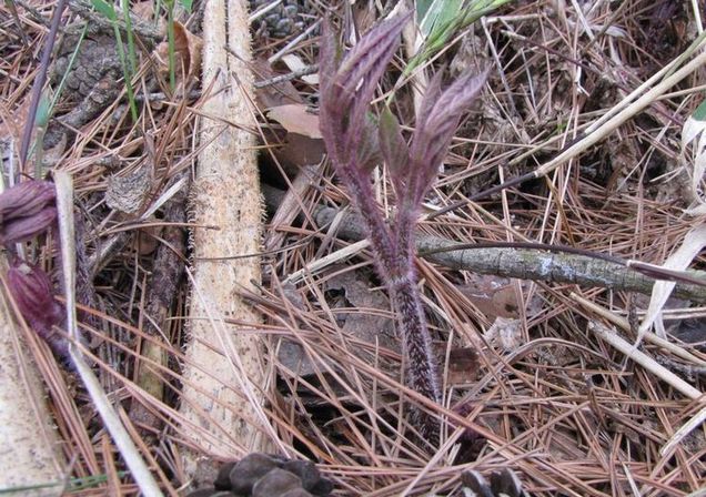 �l�G�̐X�A�X�V��