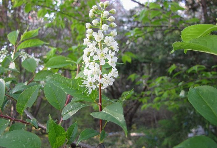 �l�G�̐X�A�X�V��