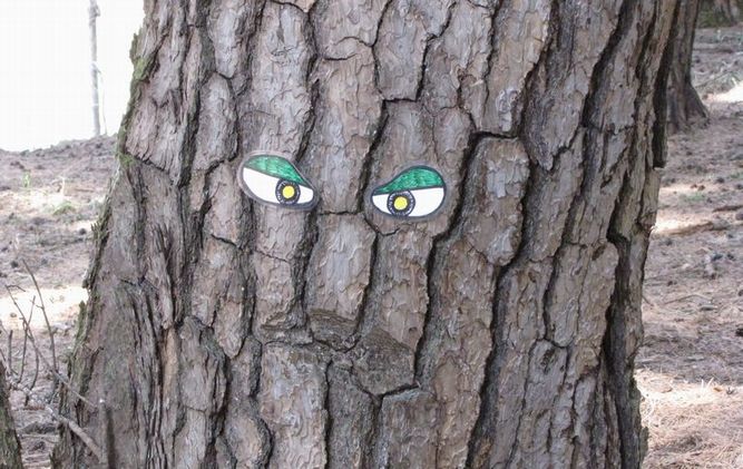 �l�G�̐X�A�X�V��