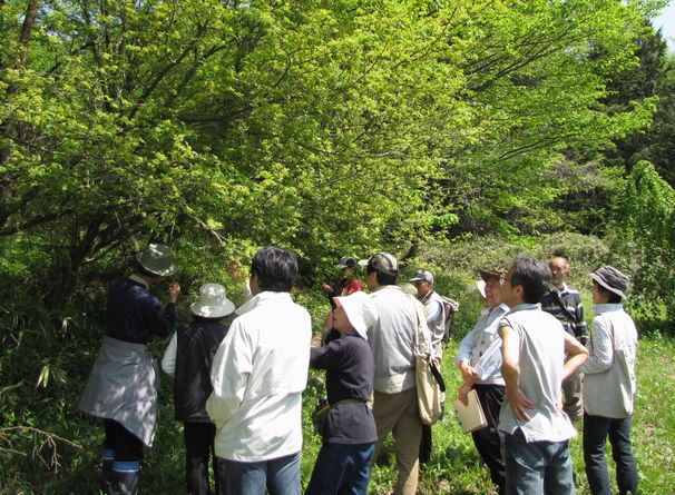 �l�G�̐X�A�X�V��