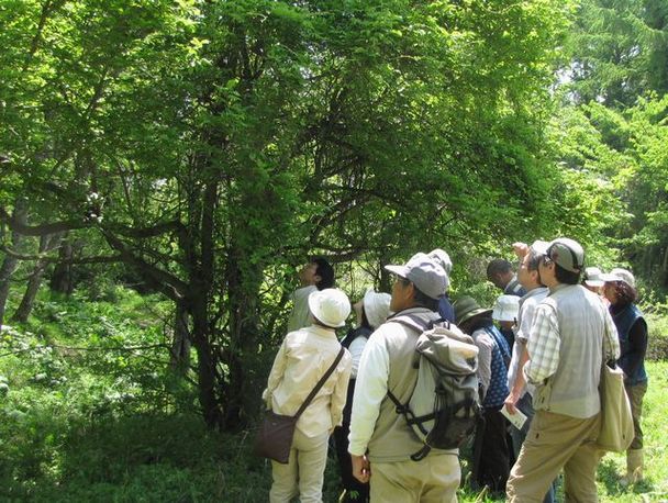 �l�G�̐X�A�X�V��