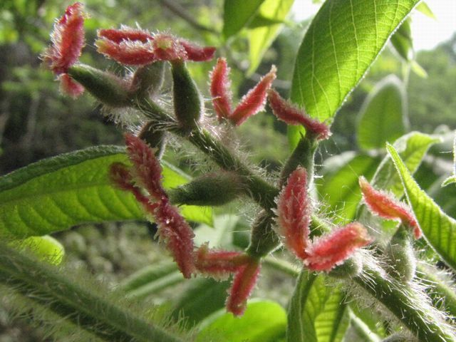 �l�G�̐X�A�X�V��