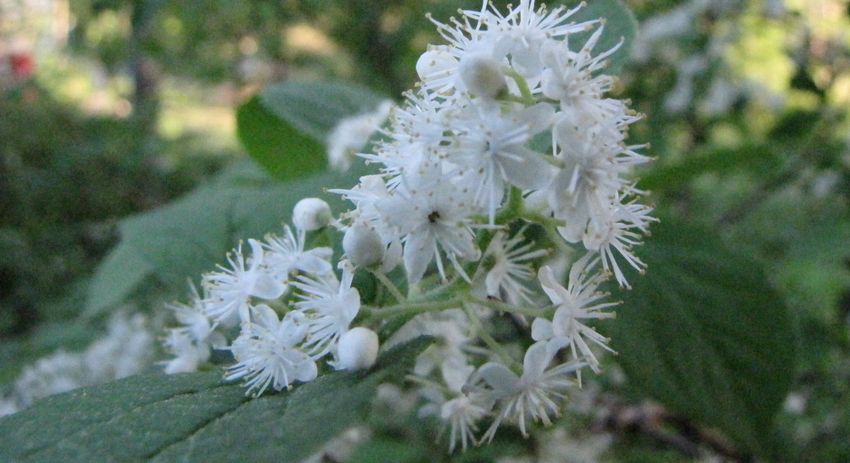 �l�G�̐X�A�X�V��