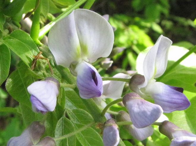 �l�G�̐X�A�X�V��