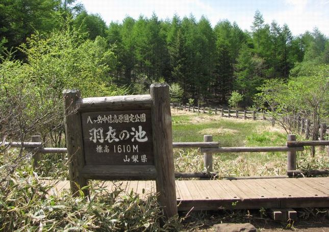 �l�G�̐X�A�X�V��