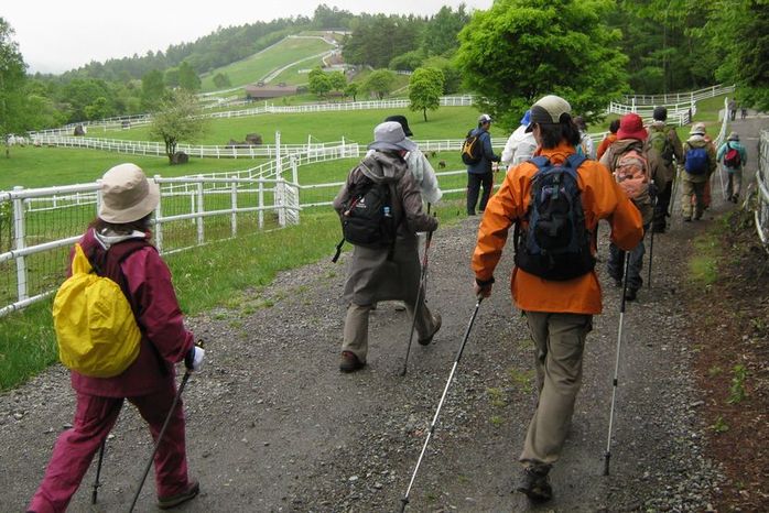 �l�G�̐X�A�X�V��