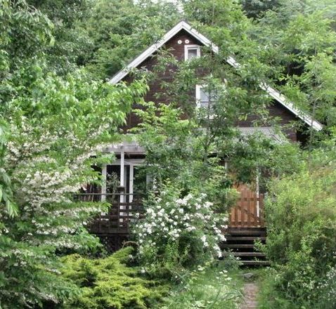 �l�G�̐X�A�X�V��