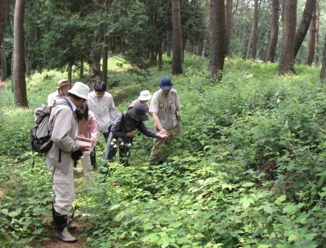 �l�G�̐X�A�X�V��