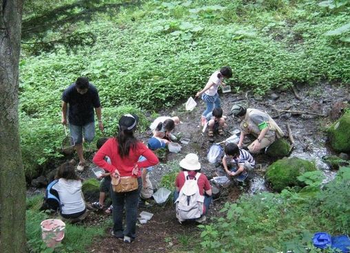 �l�G�̐X�A�X�V��