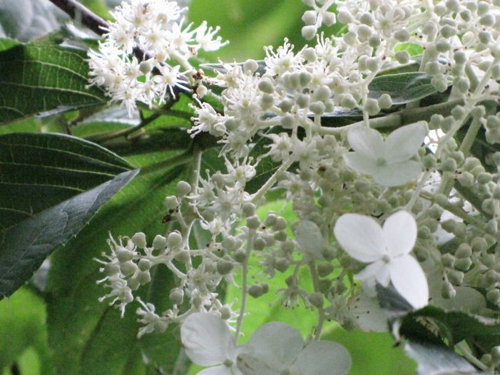 �l�G�̐X�A�X�V��