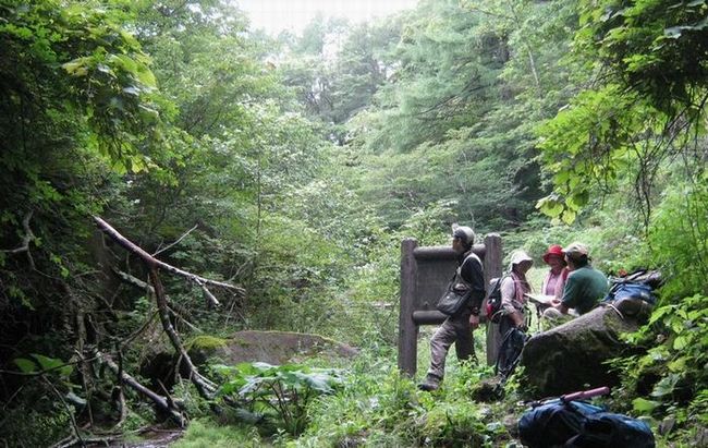 �l�G�̐X�A�X�V��