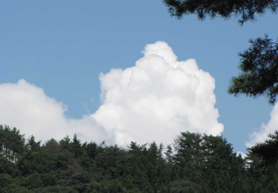 �l�G�̐X�A�X�V��