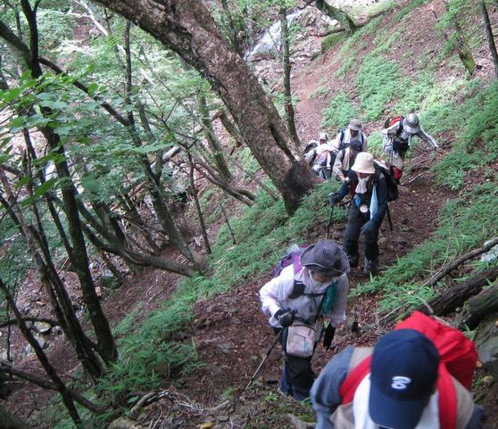 �l�G�̐X�A�X�V��