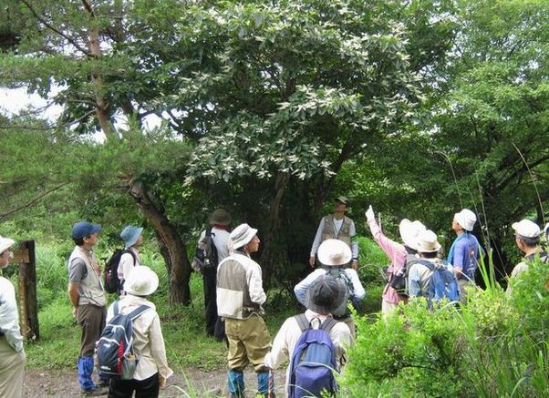 �l�G�̐X�A�X�V��