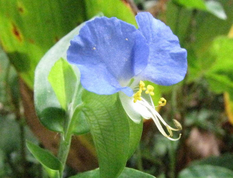 �l�G�̐X�A�X�V��