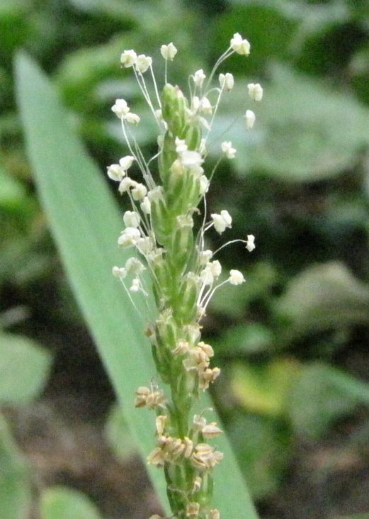 �l�G�̐X�A�X�V��