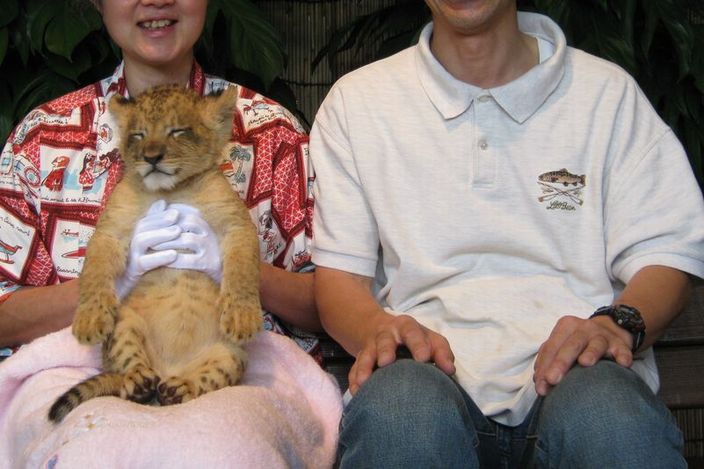 �l�G�̐X�A�X�V��