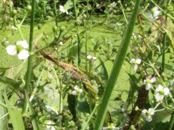 �l�G�̐X�A�X�V��