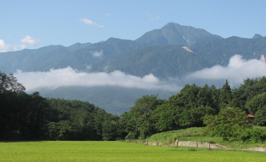 �l�G�̐X�A�X�V��