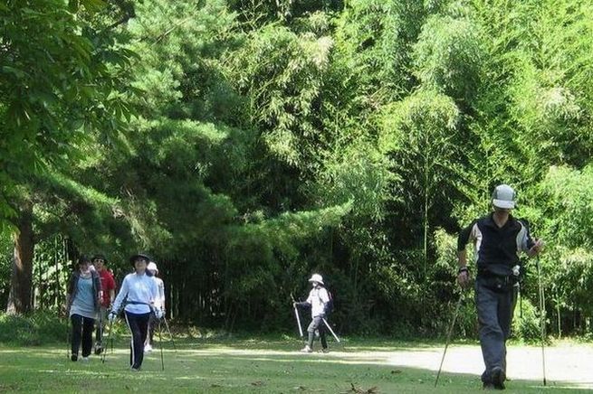 �l�G�̐X�A�X�V��