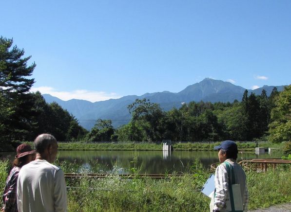 �l�G�̐X�A�X�V��