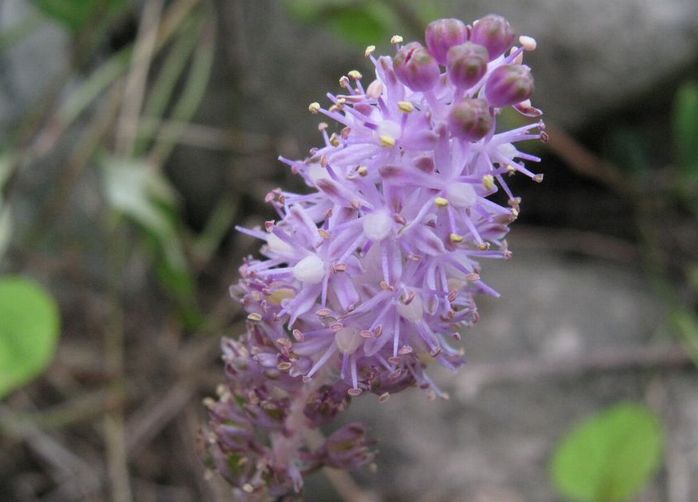 �l�G�̐X�A�X�V��