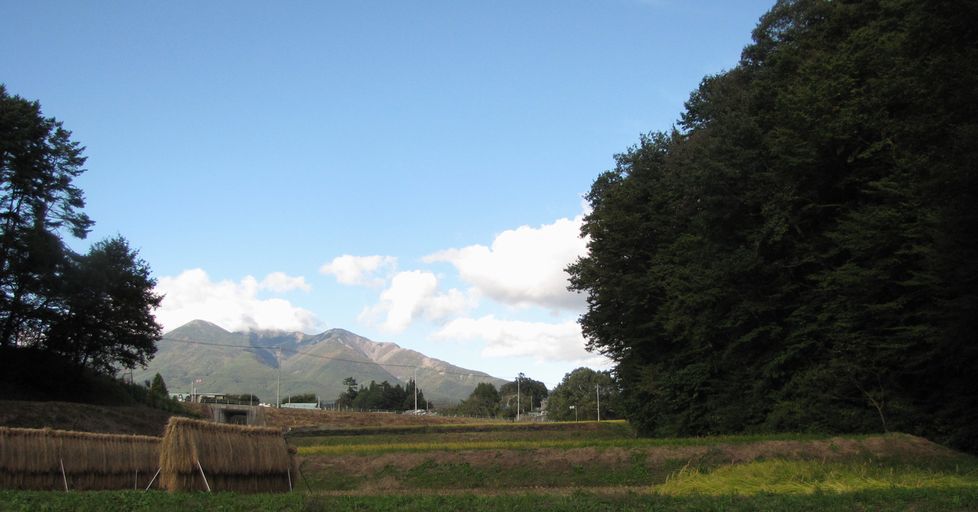 �l�G�̐X�A�X�V��