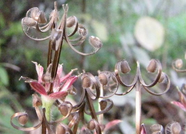 �l�G�̐X�A�X�V��