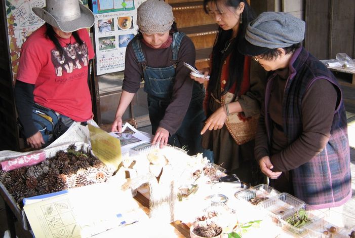 �l�G�̐X�A�X�V��