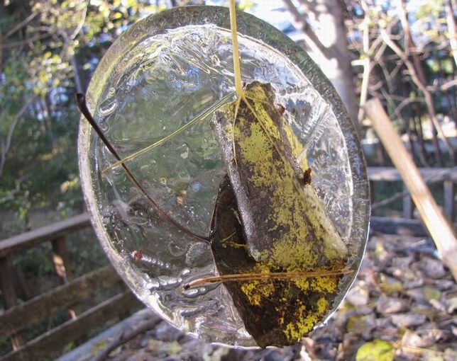 �l�G�̐X�A�X�V��