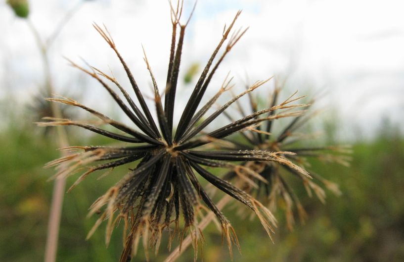 �l�G�̐X�A�X�V��