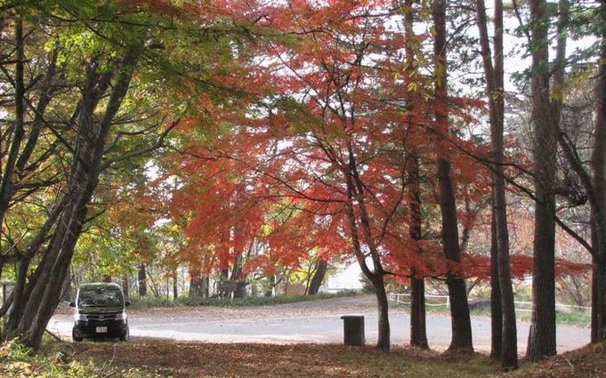 �l�G�̐X�A�X�V��