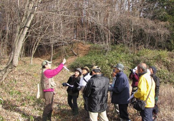 �l�G�̐X�A�X�V��