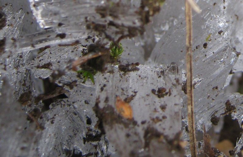 �l�G�̐X�A�X�V��