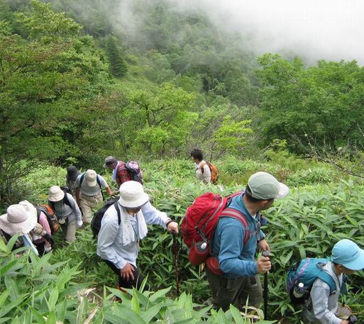 �l�G�̐X�A�X�V��