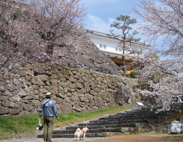 �l�G�̐X�A�X�V��