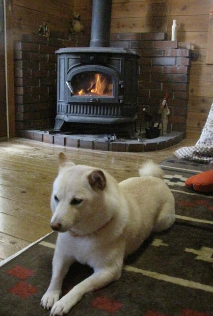 �l�G�̐X�A�X�V��