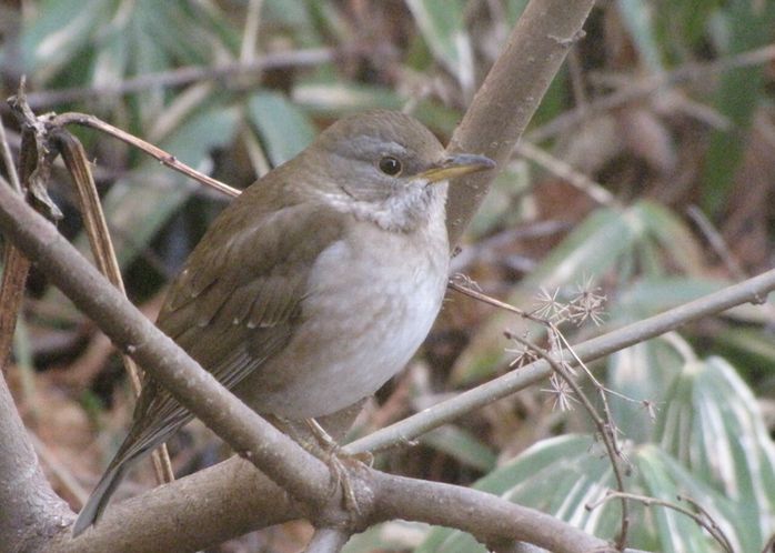 �l�G�̐X�A�X�V��