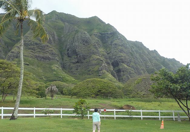 �l�G�̐X�A�X�V��