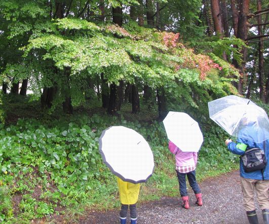 �l�G�̐X�A�X�V��