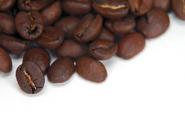 �X���E�X�^ Online Store