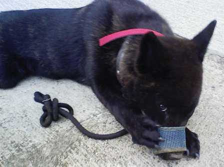 Stay Indoors,The inside