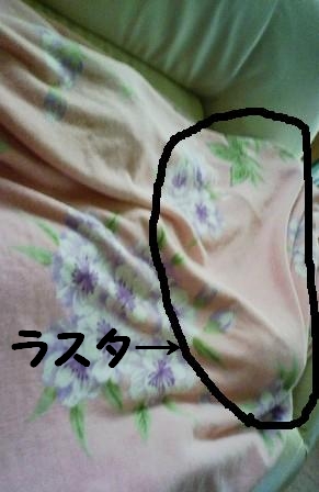 Stay Indoors,The inside