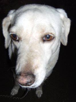 Stay Indoors,The inside