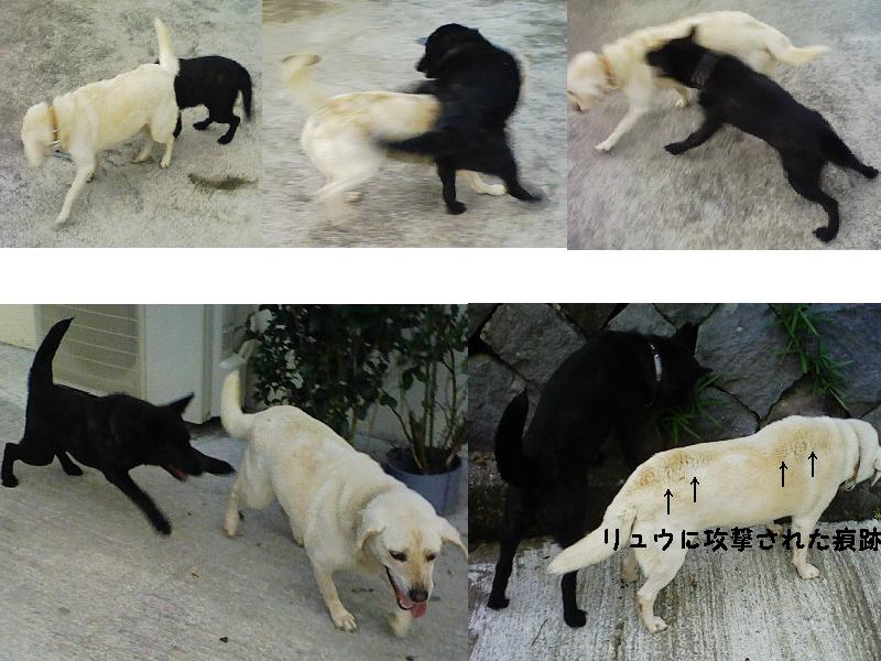 Stay Indoors,The inside